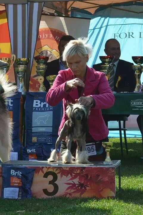 Handler Pride Modny Drobiazg