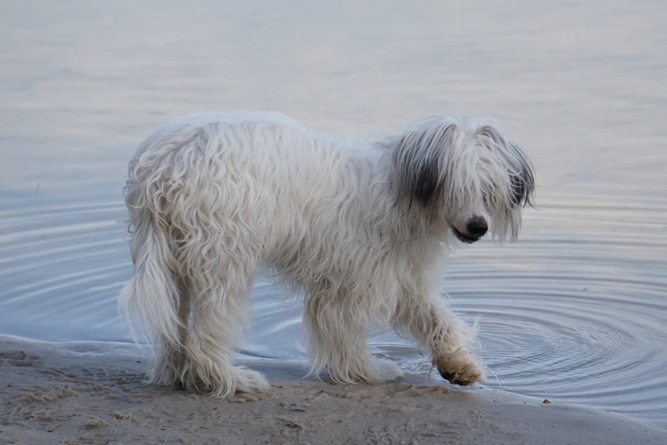 Eagle Eyed Angels Maybe I'm Amazed