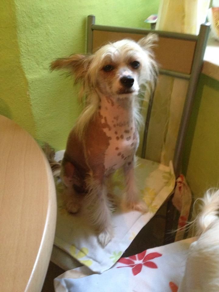 Maàlablya's Kiss Me