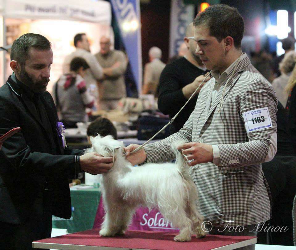 Di Casa Megi Giunone Dea Delle Donne