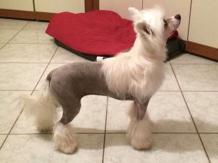 Di Casa Megi Gea Essenza Della Natura