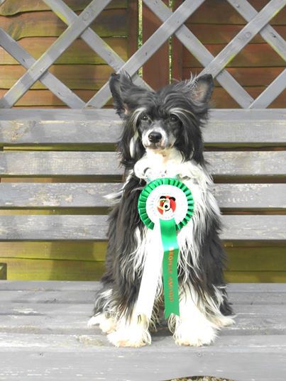 Despinia Going All The Way