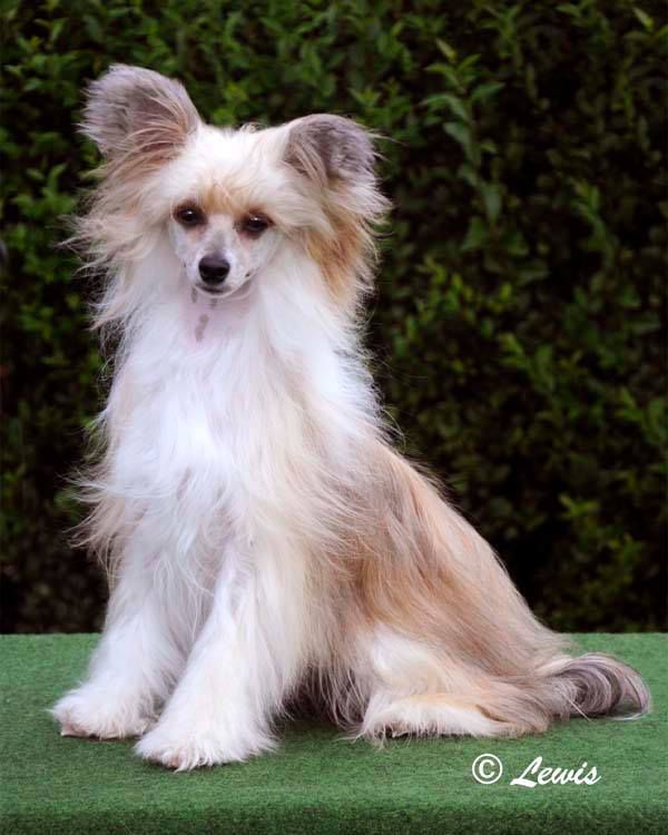 Despinia Poetry and Prose