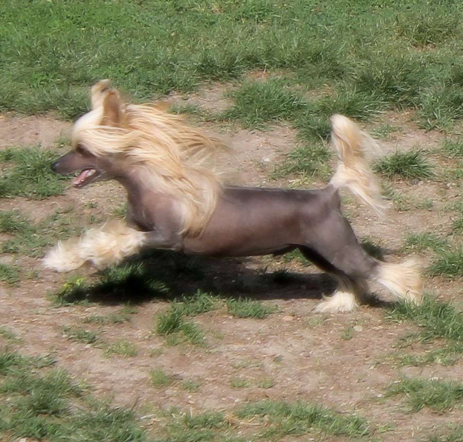 Extra Magical von Shinbashi