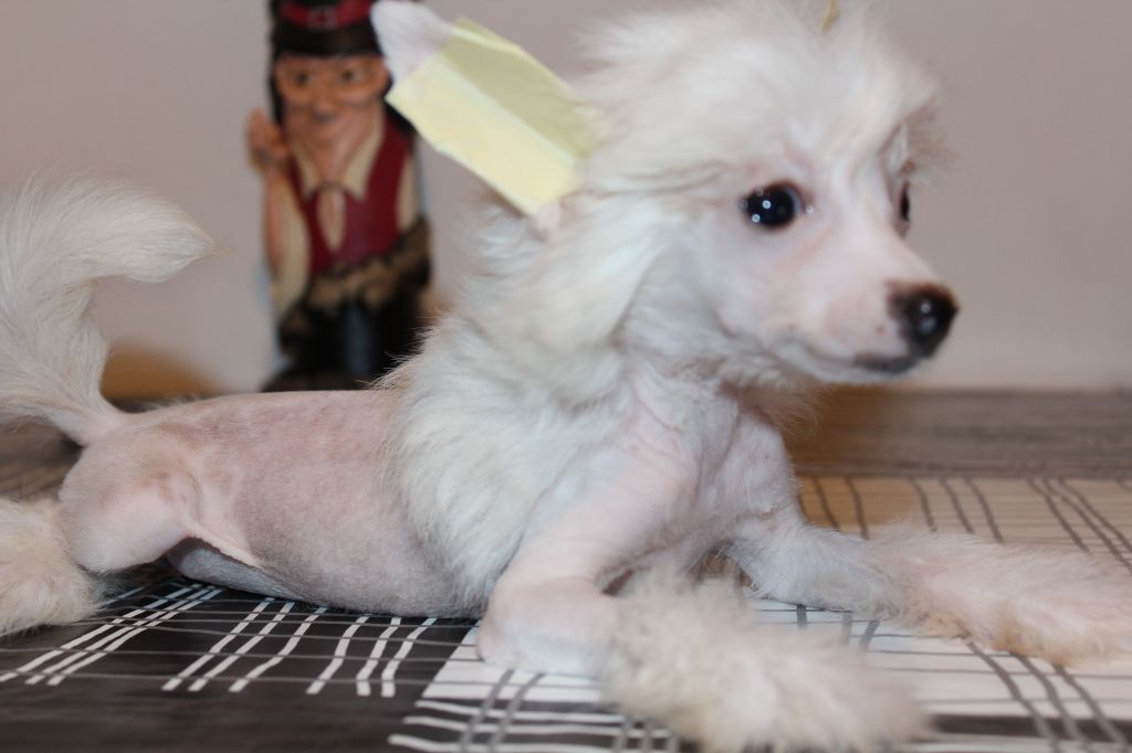 Armani Code de L'Essence de Mon Tout