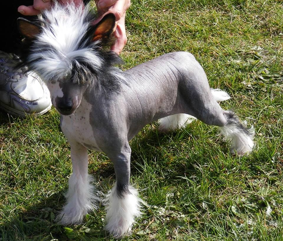 Ertae Undress To Impress