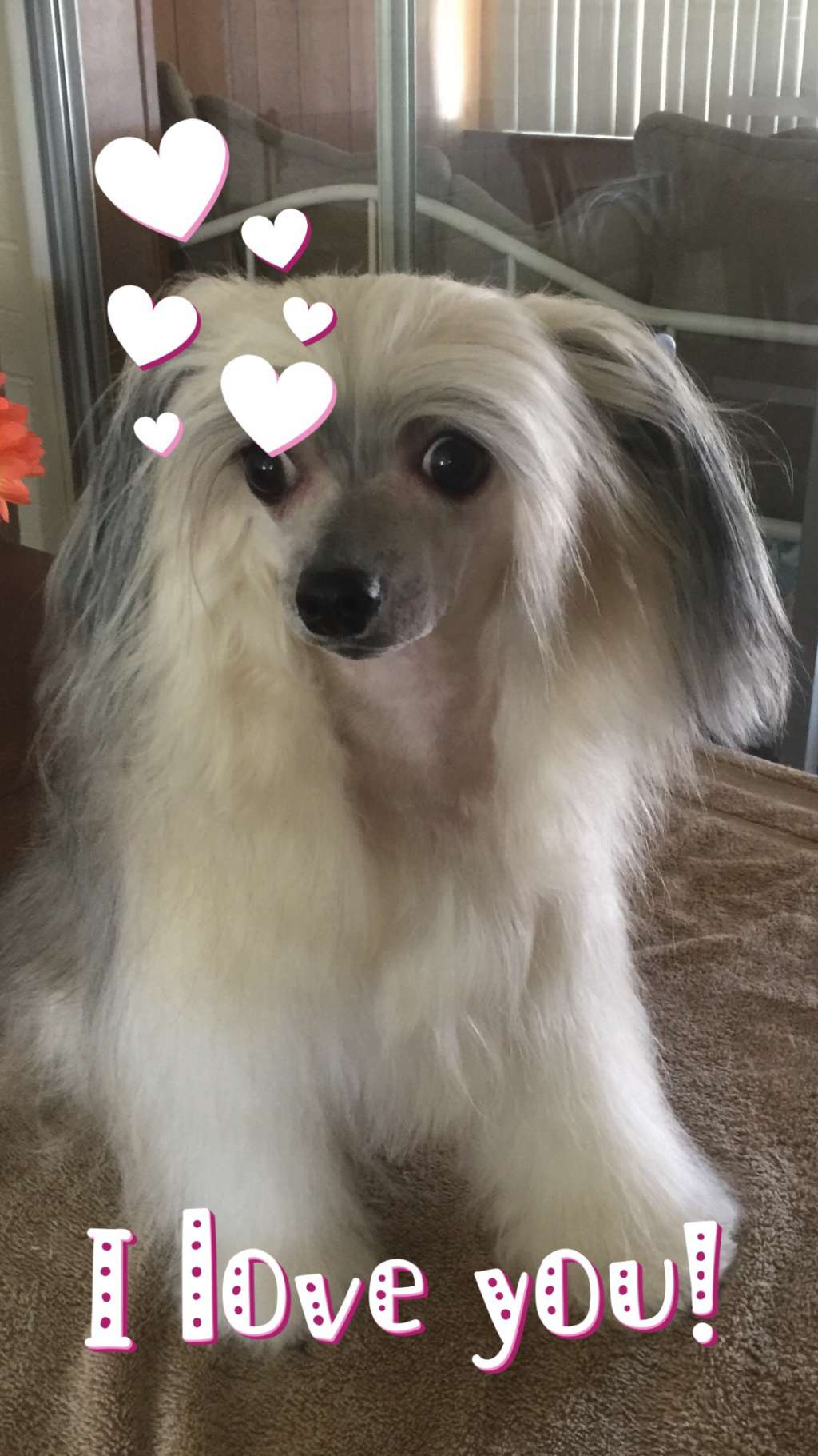 Mstical's Finest China