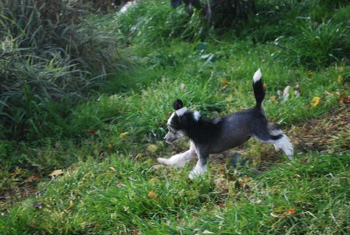 Charming Lady Epocha