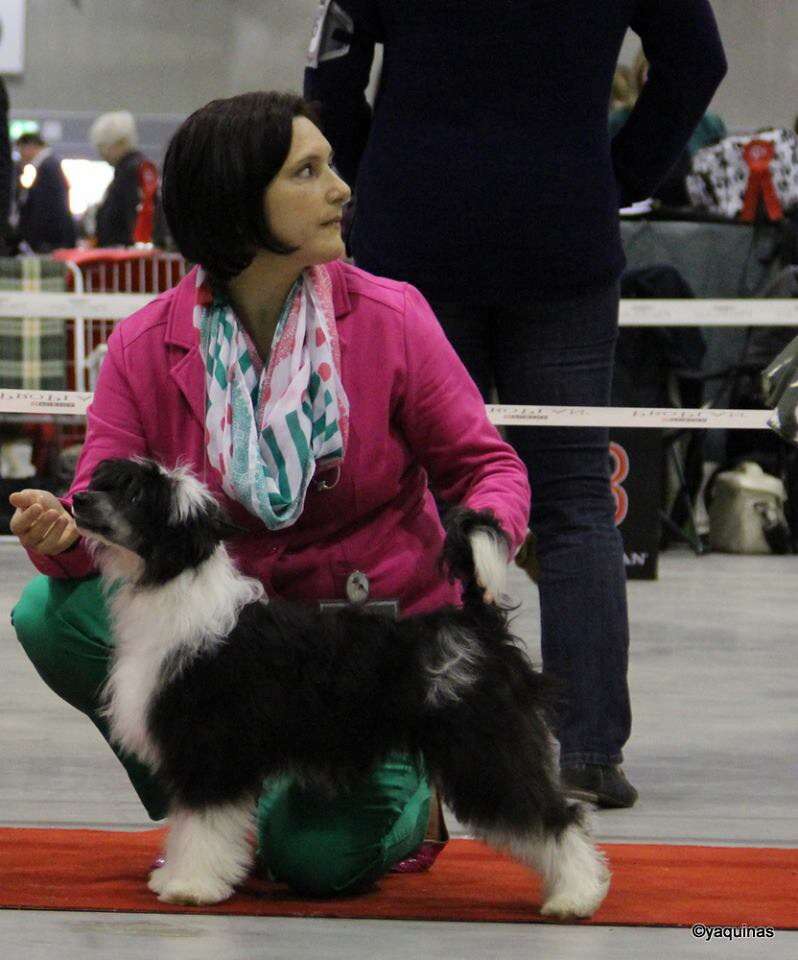 Quiincharme's Jam Beat Sensation