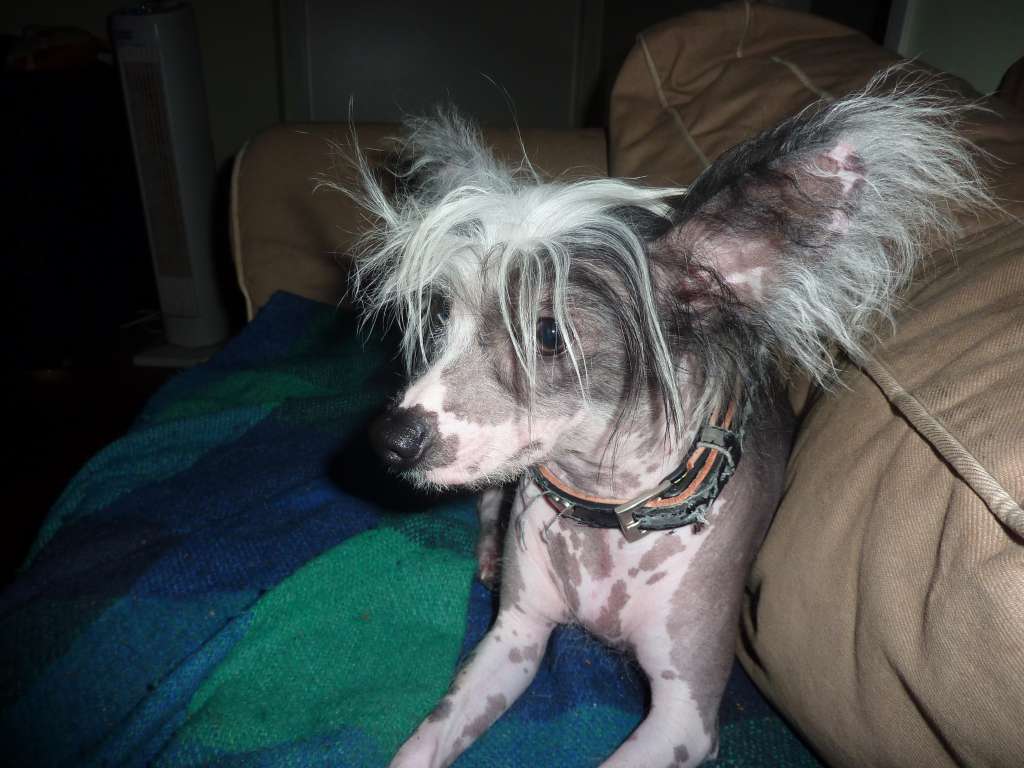 Darlin van hoop en liefde