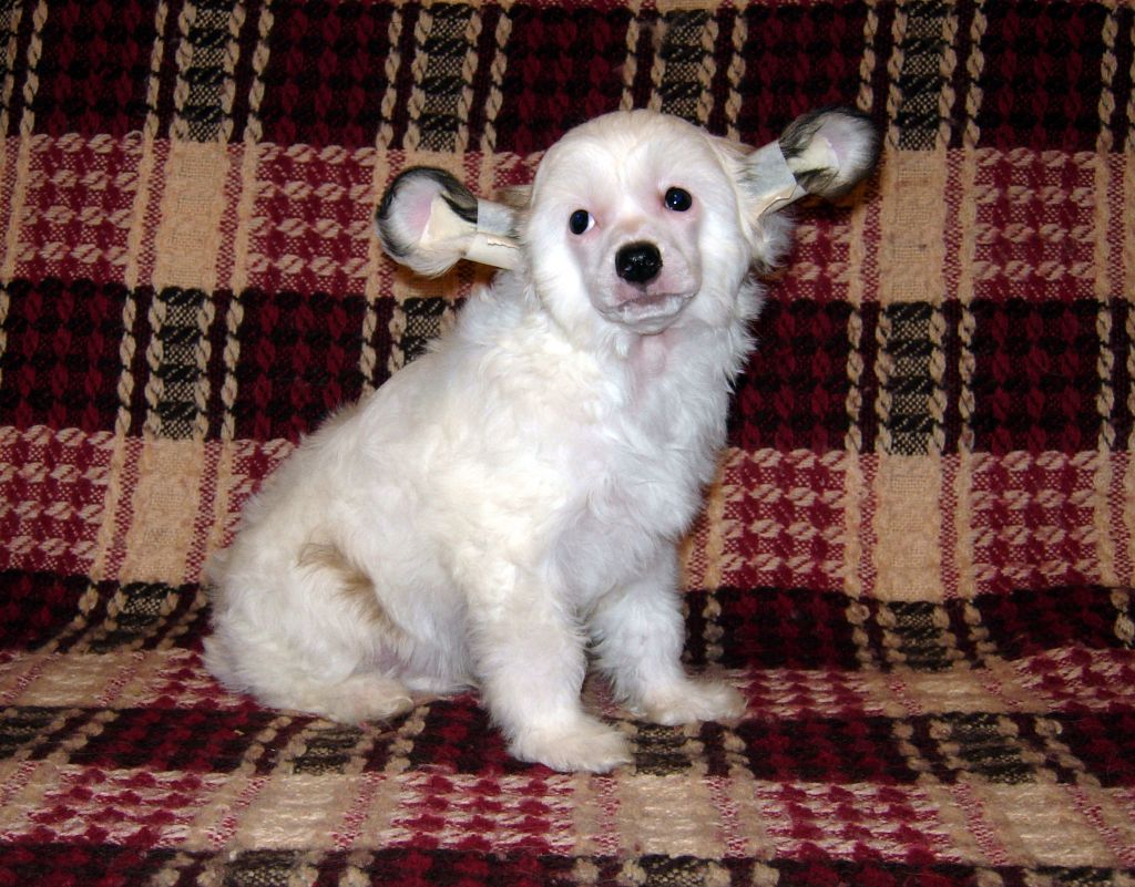 Iljka Just Beauty Mitau