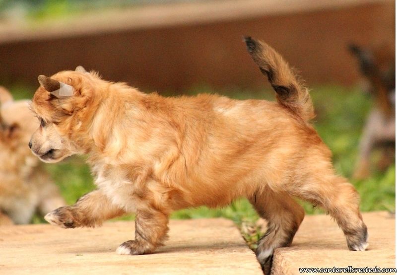 Byron Living For You (Cantarell)