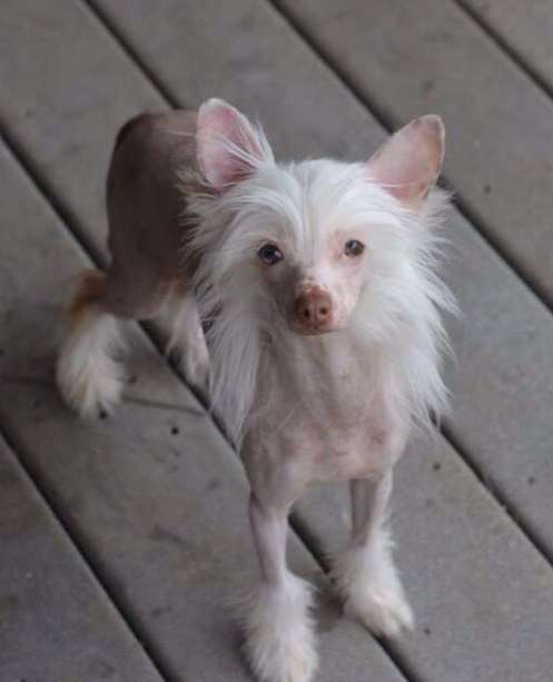 Famous I'm Bringing Sexy Back