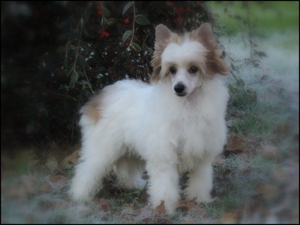 Illyria Du Coeur Des Tenebres