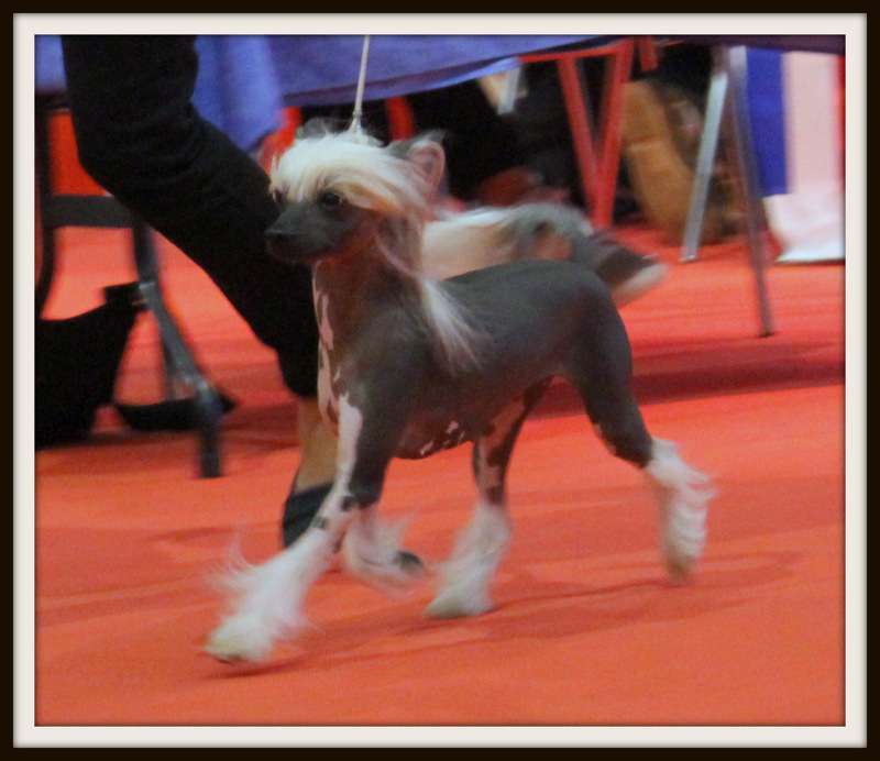 Inn-Ca Li-Na du Coeur des Ténèbres