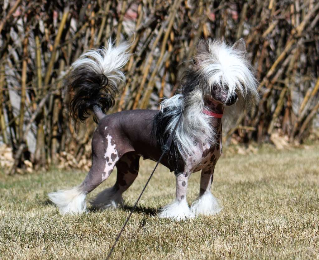 Heaven Sent's Girls Got Rythem