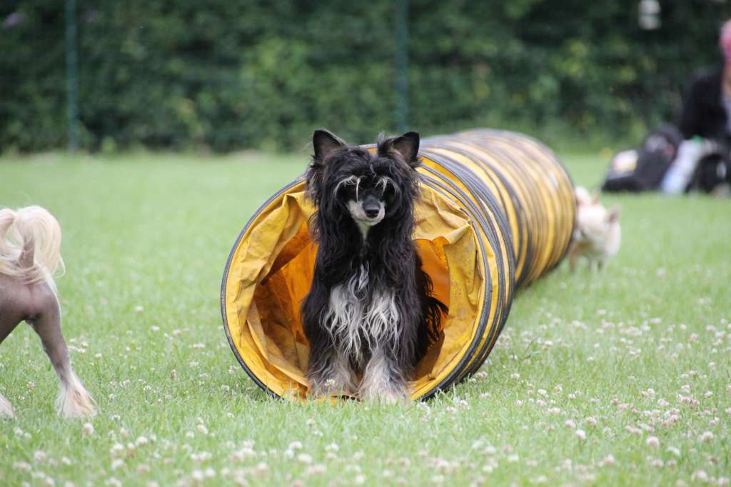 Makana De Janeiro Diamond Place