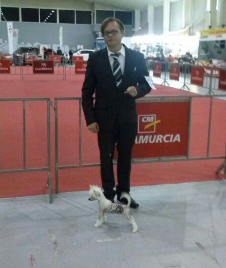 Stracciatella de L'Essence de Mon Tout