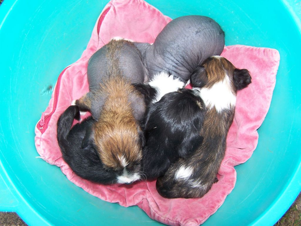 Melanies Rerity Unison