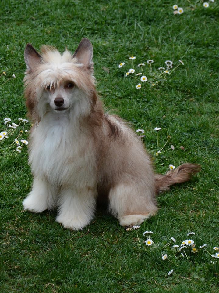 Bella Konstanta Un a More Grande