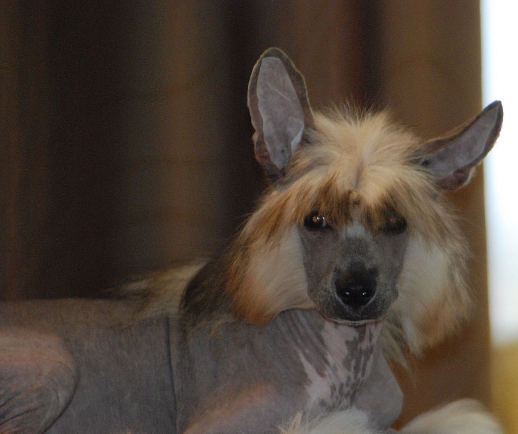 Wild Wild West De Fageiro