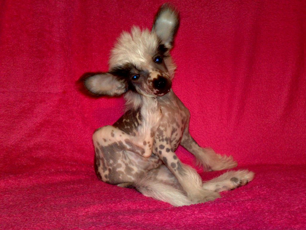 Universe Amour de l'Amour