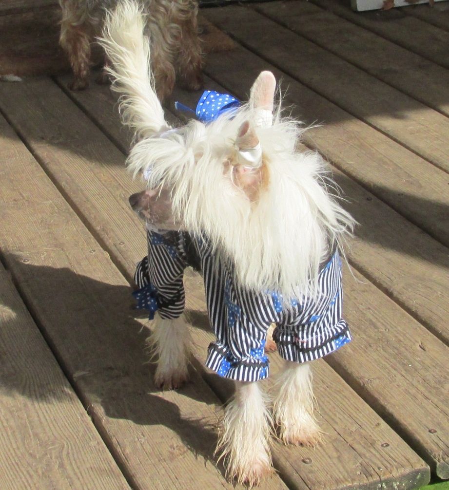 Pixietail Candy Apple Pie