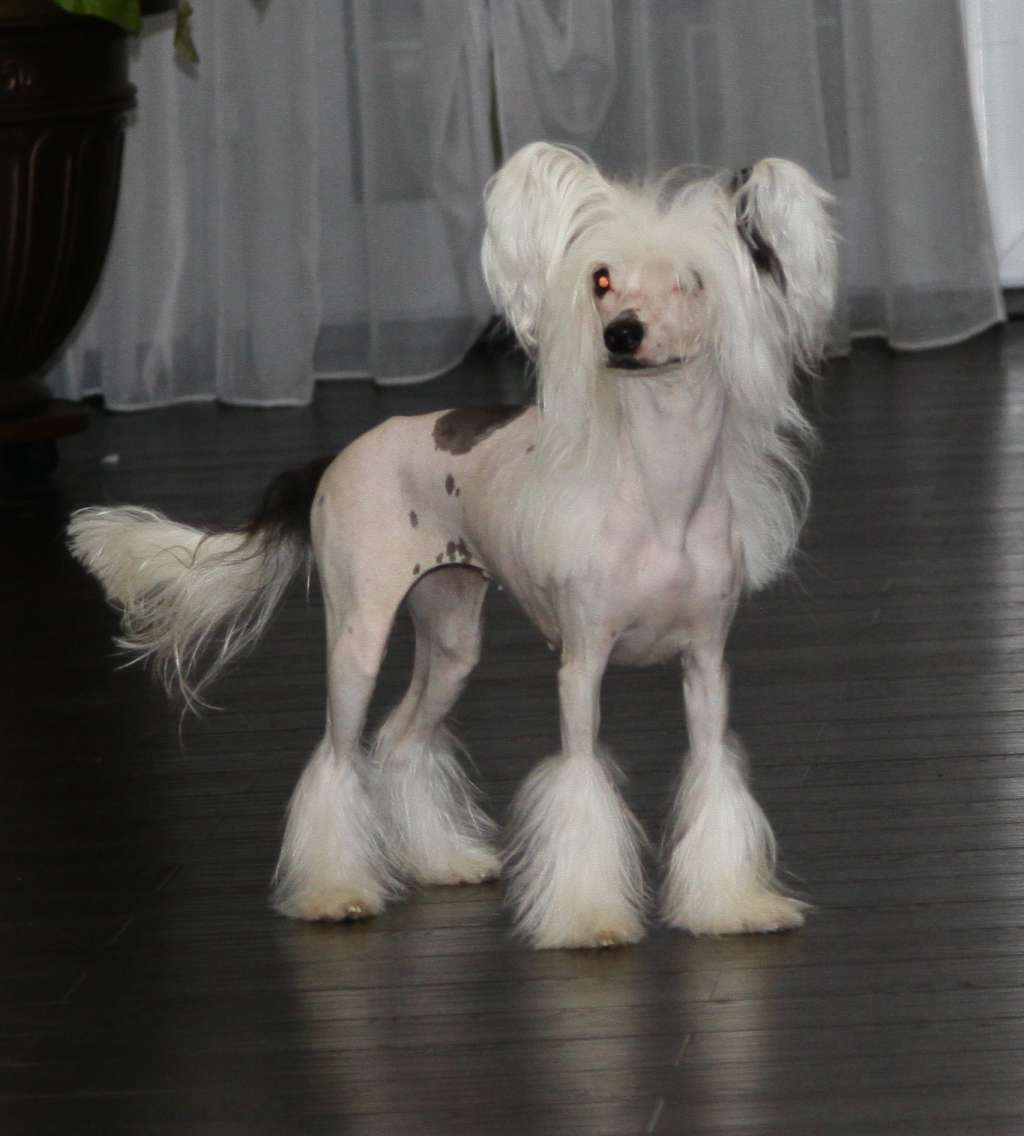 Premier Mari Chio Chio Sun