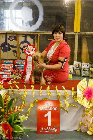 Zlato Volmari Valentajn