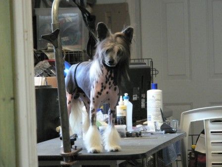 MOA's IV'e got a crush on you