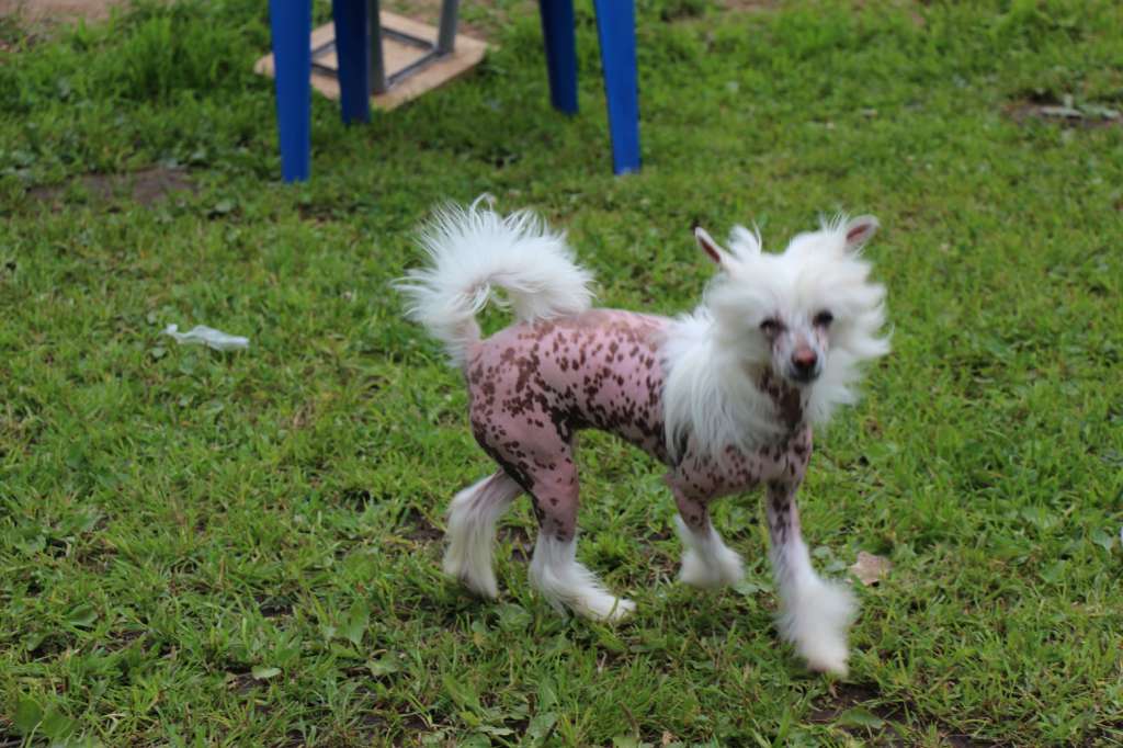 Futureline Felicie LIBERTY