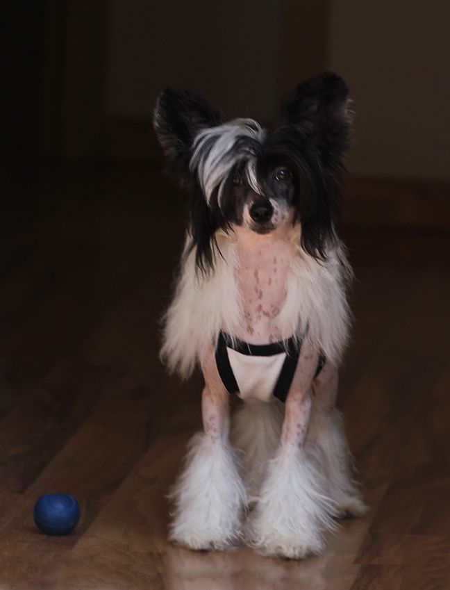 Kranar For Norma Baker