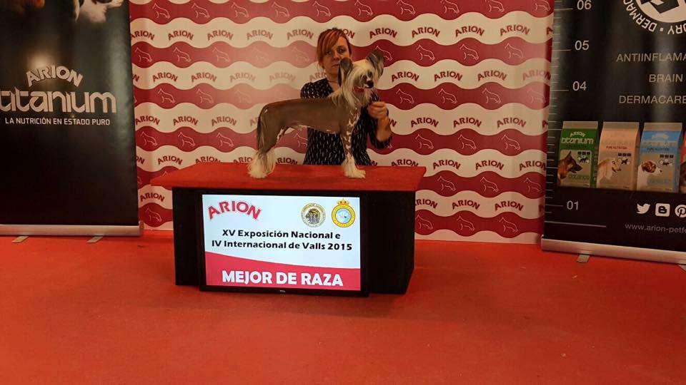 Multi CH. Mulberry Street CedarFrost Thriller