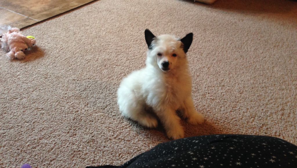 FaeryDreamer's As Long as Your Mine