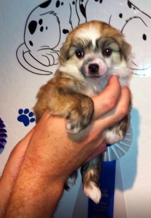 Nina's K Dream A Little Dream Of Me