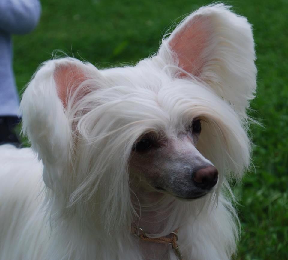 Moelmo's Once In A Lifetime