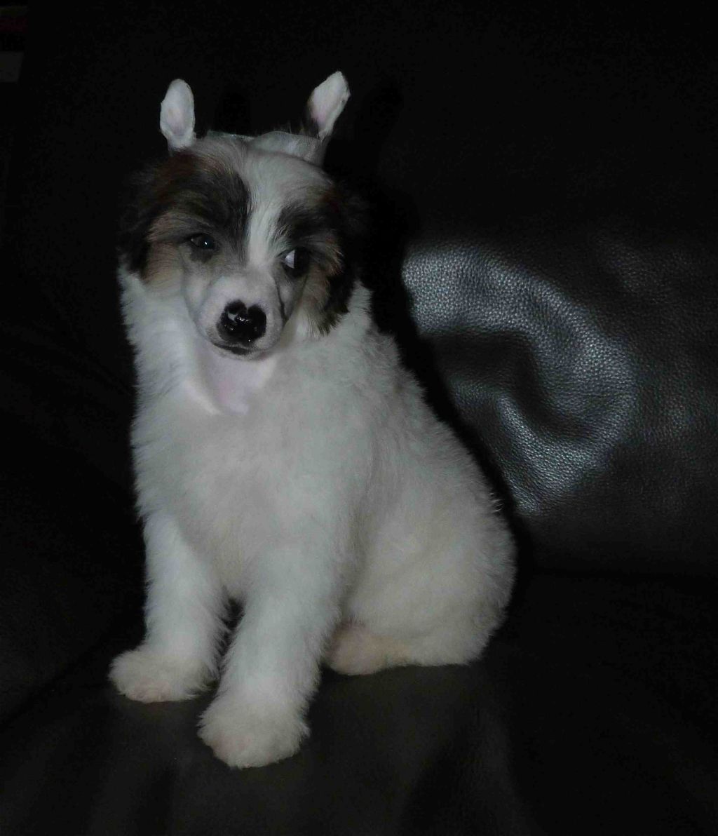 Taï Mandchou's Ichor Bloody