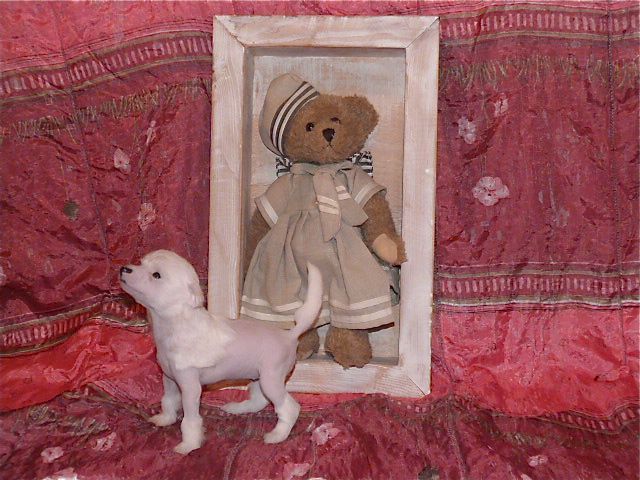 Taï Mandchou's Iced Earth