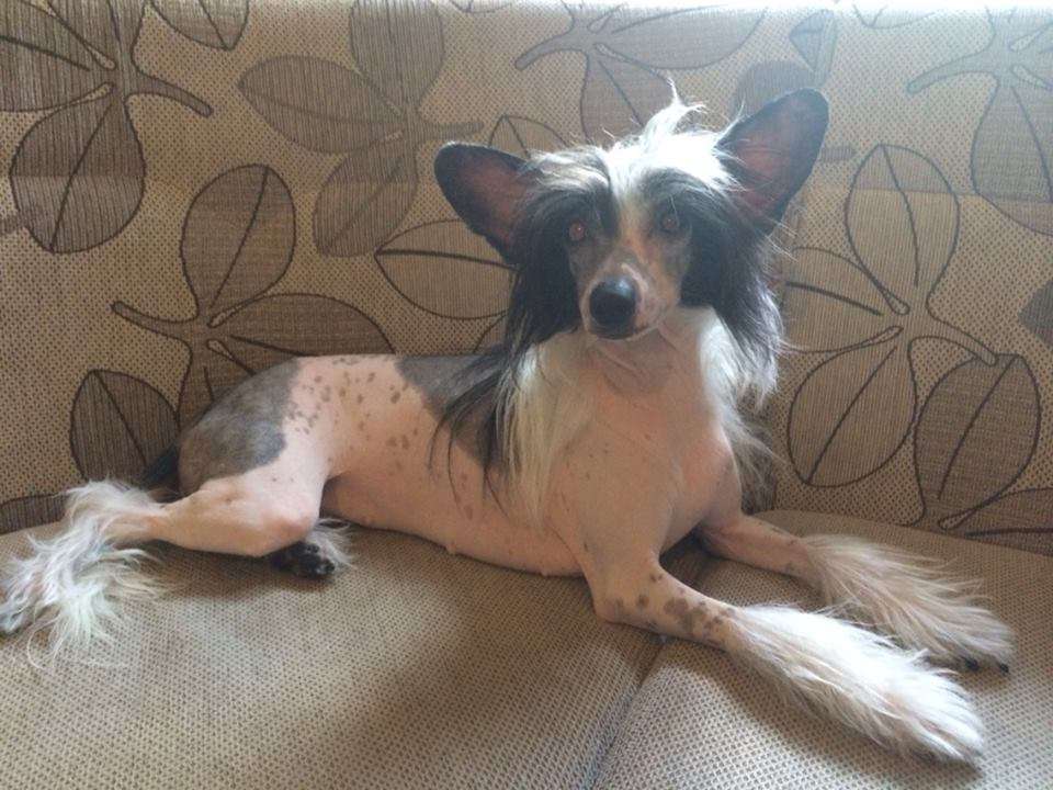 Bella Konstanta Tessa Arctic Glow