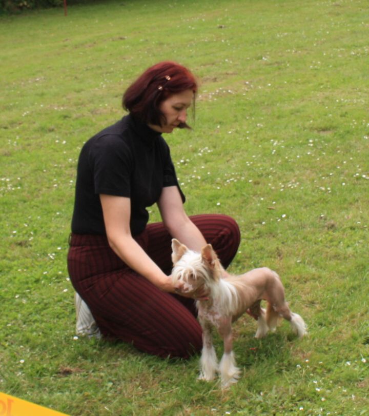 Fantazy Night A Star Unicum