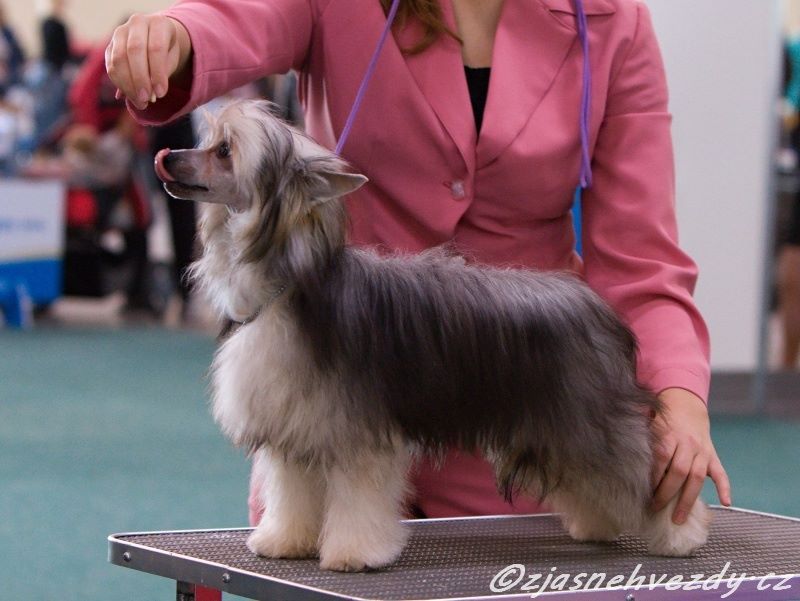 Family Song's Tambora