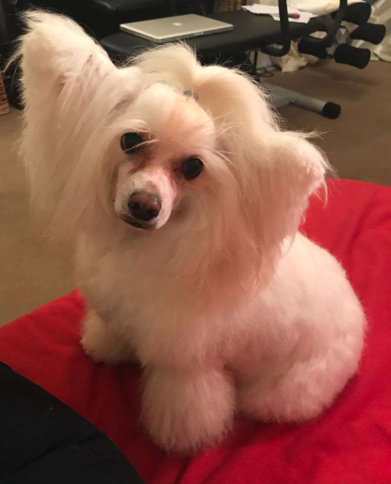 Fundoklia-völgyi Kaszanics Sheila