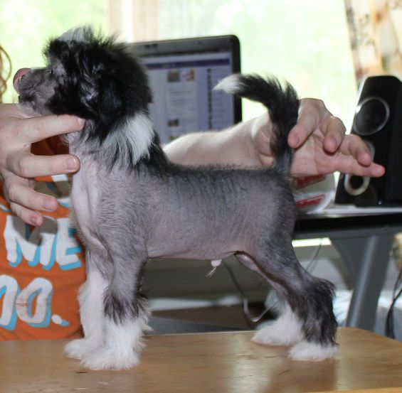 Aeon's Kaido at Gardine