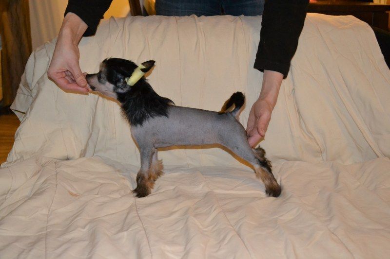 Naked Night's I'll Never Give Up