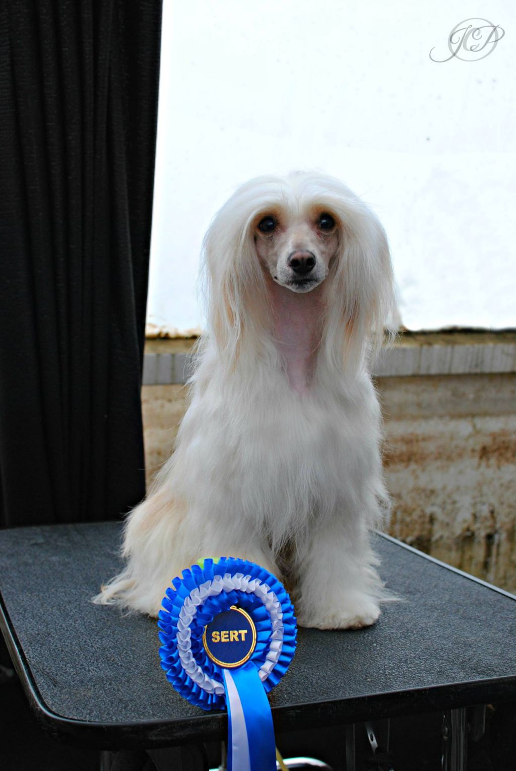 Lilla Wanillas Nuncupatio