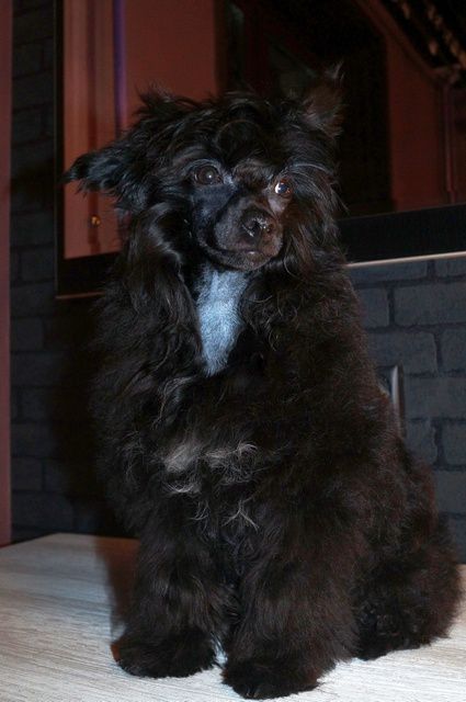 Largo Beltsa Belasko