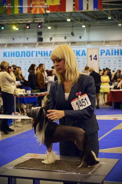 Veronica Planet Of Dream