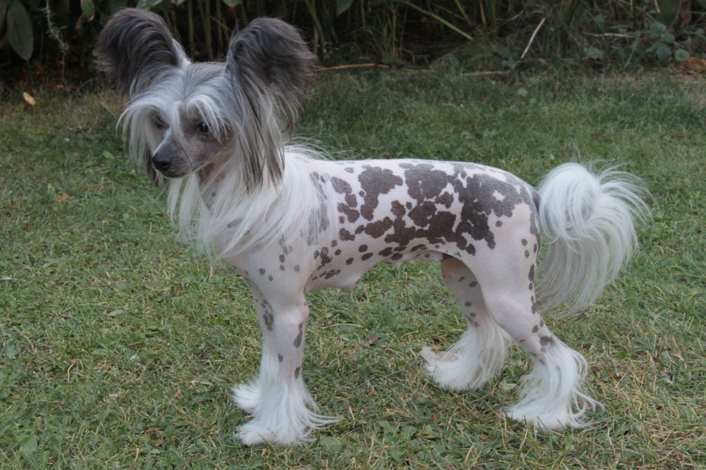 Allegranden Côte D'Azur