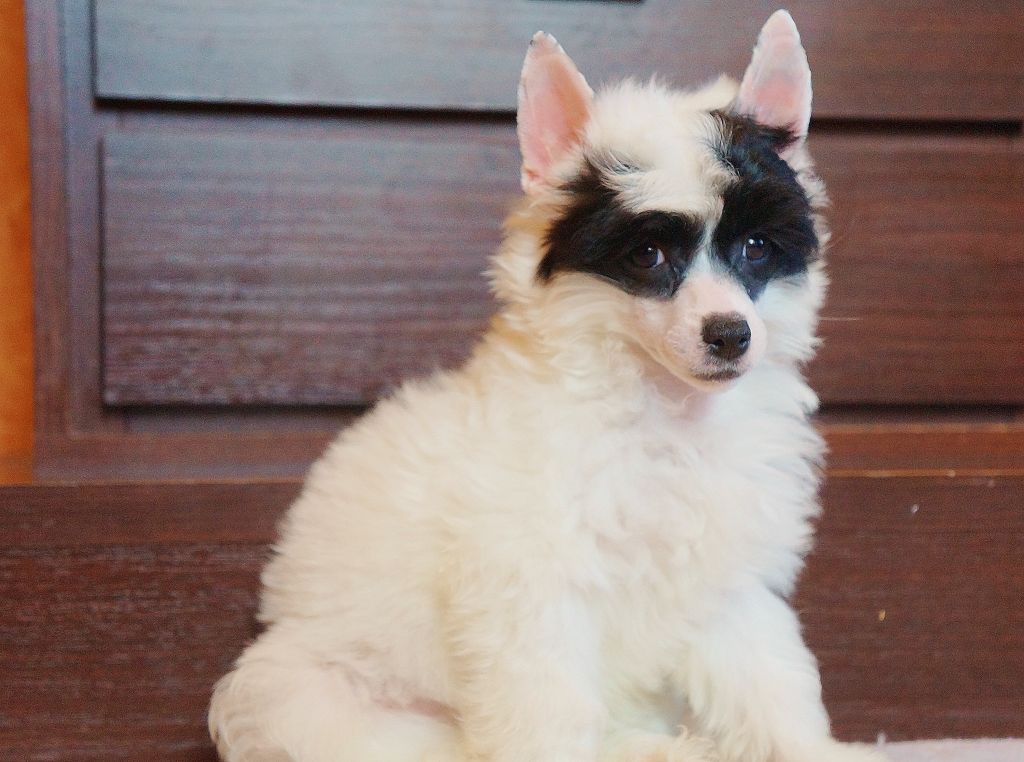 Kidsolarus Zhizel' De Frua