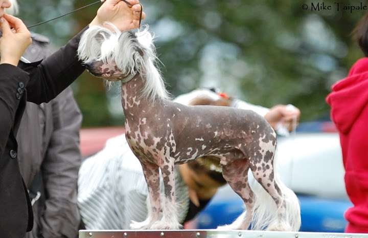 Maybell's Summer Gives Spots